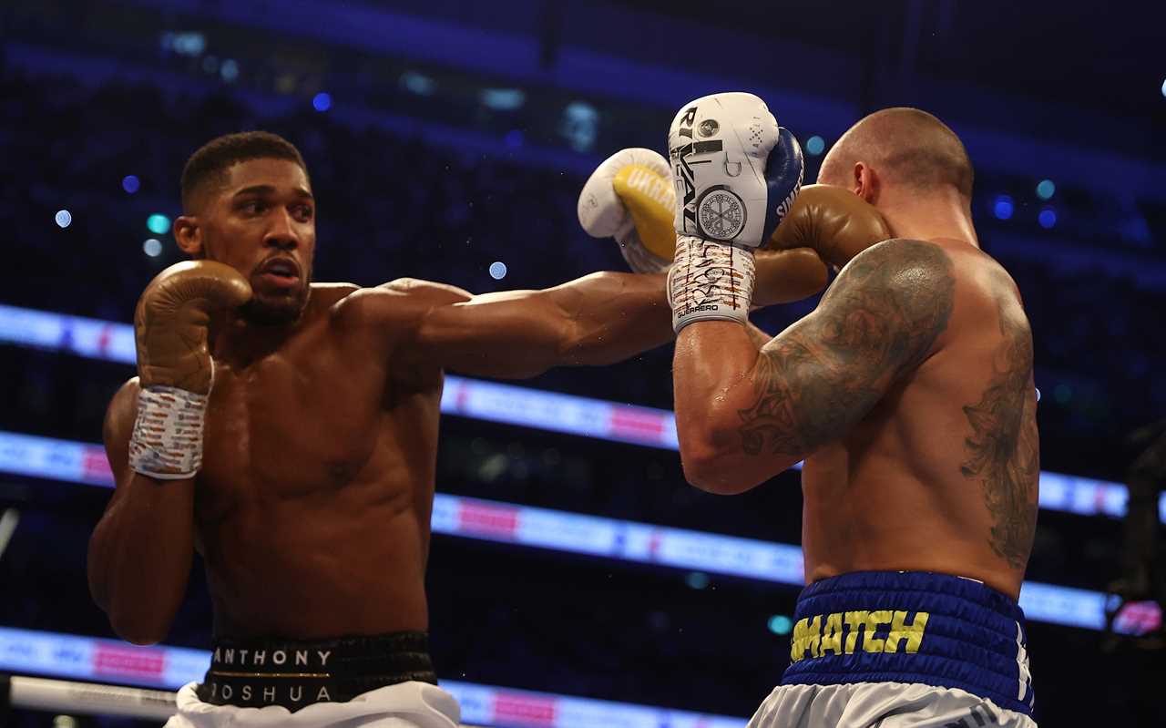 Anthony Joshua advised to use a'seek-and-destroy mentality' during Oleksandr Usyk's rematch.