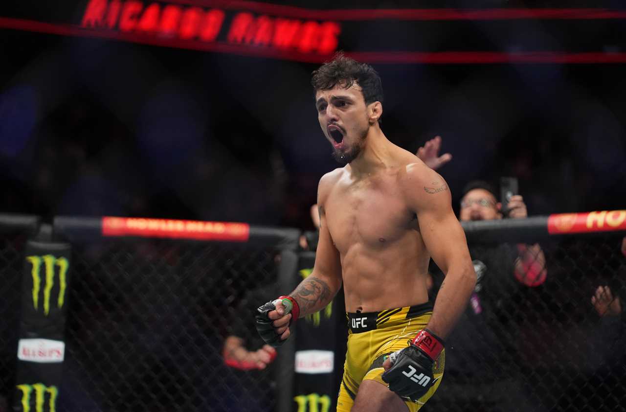 Conor McGregor, UFC legend, backs Brazilian MMA star in his quest to win his old belt after a devastating KO win