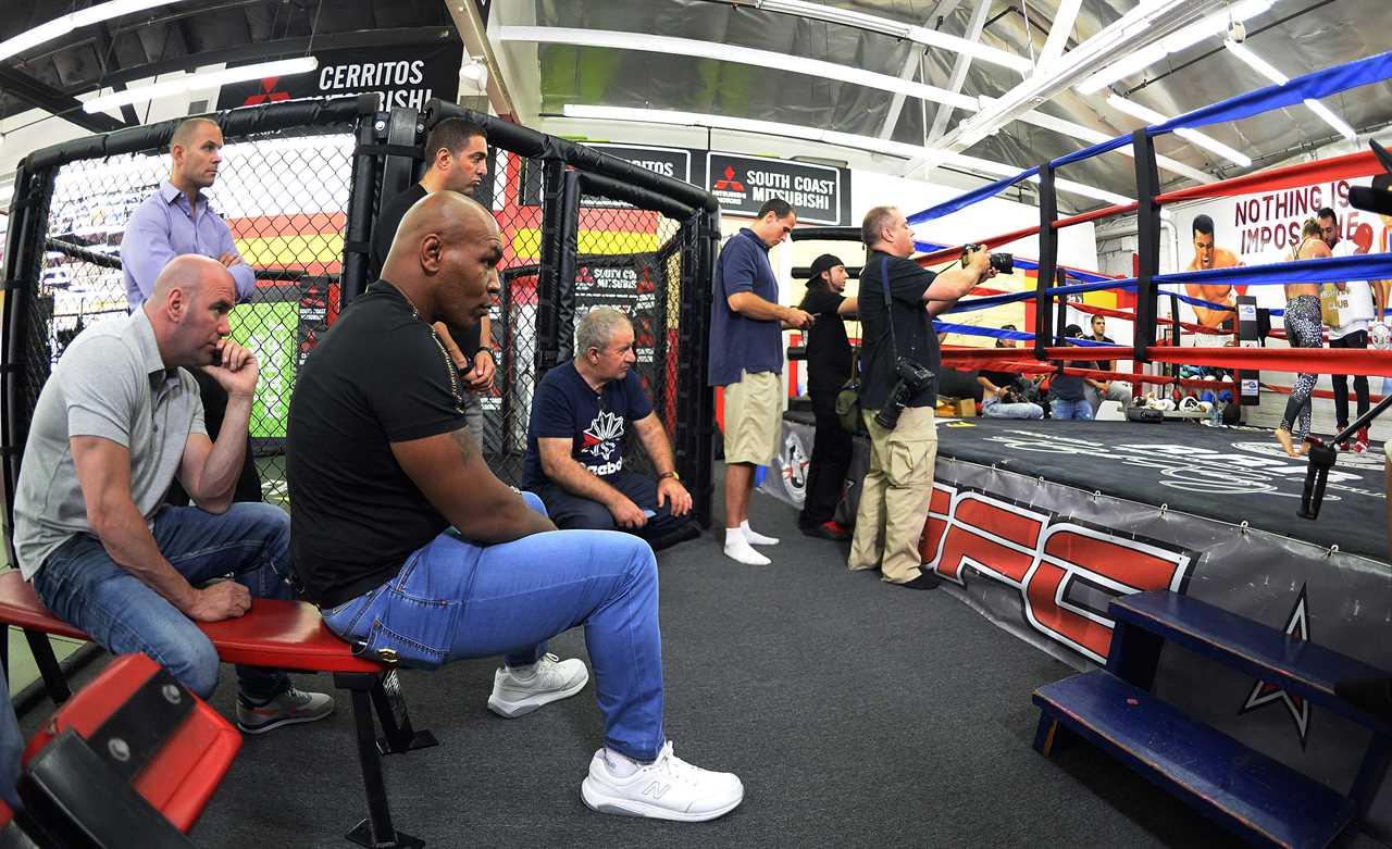 Watch Mike Tyson punch Dana White, UFC boss, and kick him out of a private jet seat. Then write 'd ***' to his head as a prank.