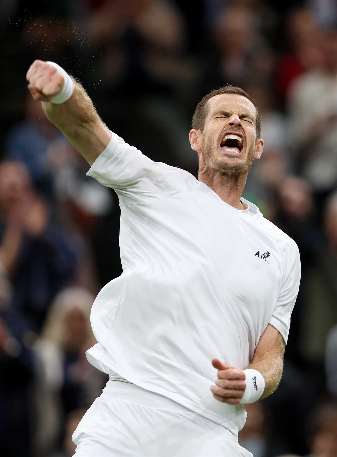 Andy Murray used an underarm serve. Is it legal? What did he say about it?