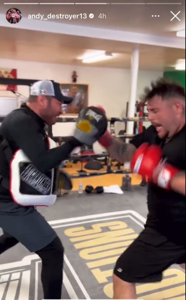 Boxing fans all agree with Anthony Joshua as Andy Ruiz Jr releases scary training footage