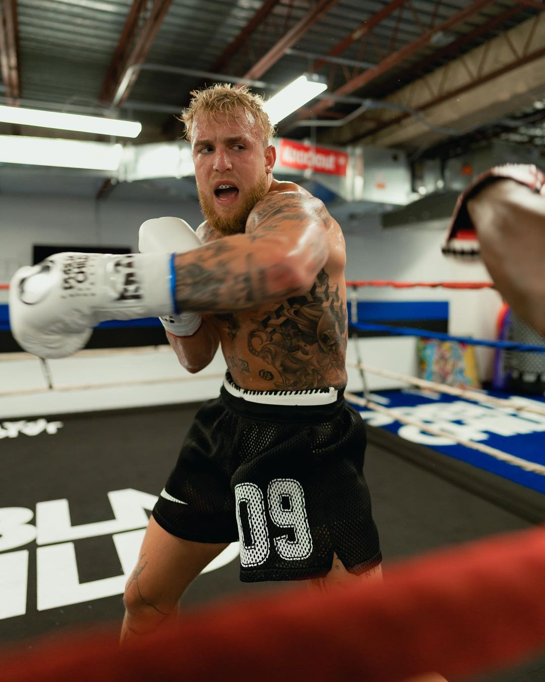Jake Paul says Mike Tyson is afraid of hurting him but he would beat me'.
