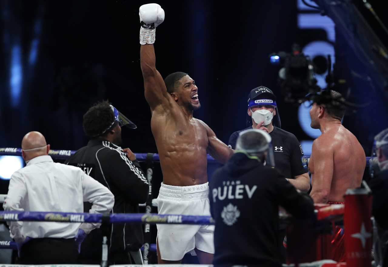 Anthony Joshua will have to face four opponents before he can retire, including Deontay Wilder, Tyson Fury and Dillian Whyte