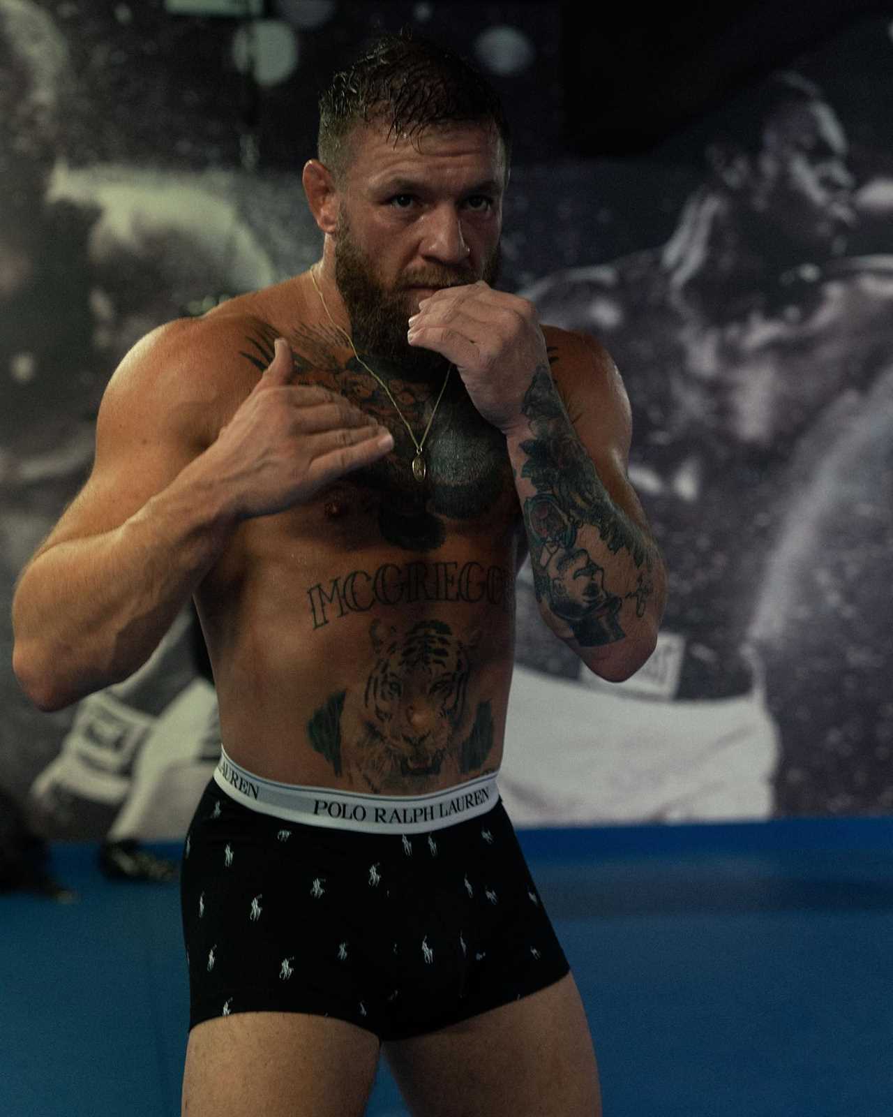 After being left with marks from UFC training, Conor McGregor was compared to the 140st GORILLA coach