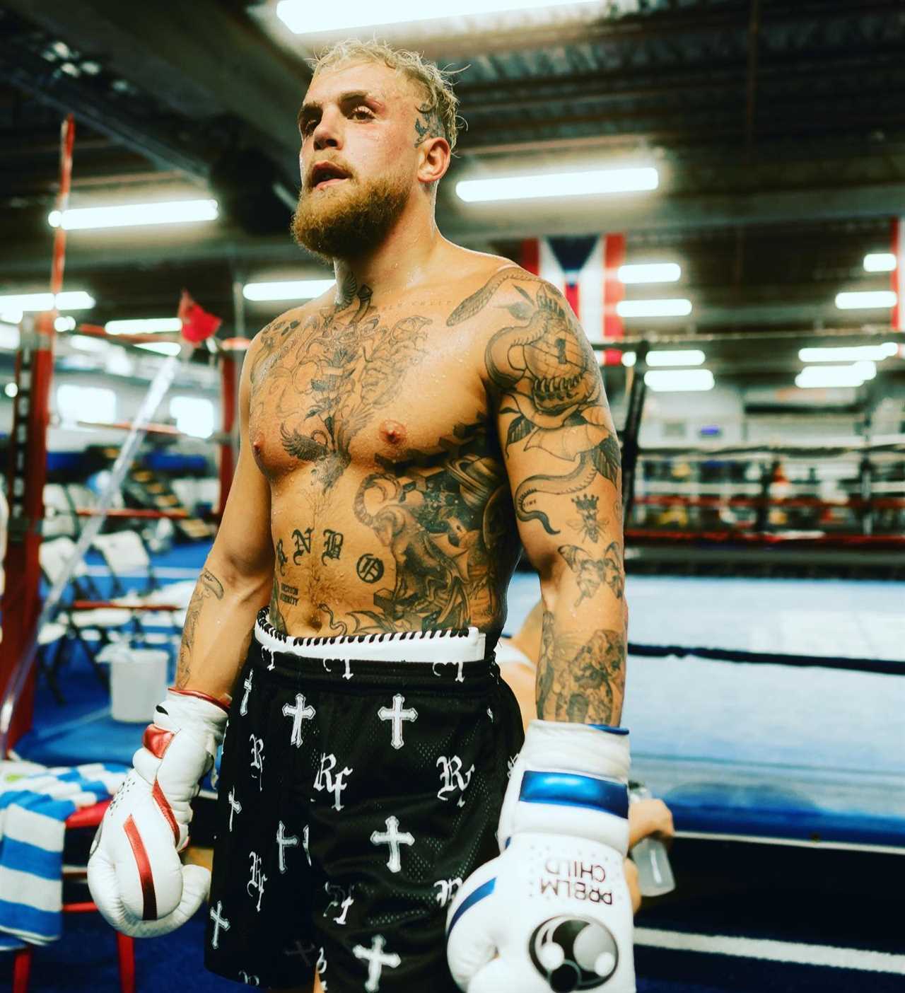Jake Paul, YouTube star, will lose a STONE to become light-heavyweight champion of the world in three years