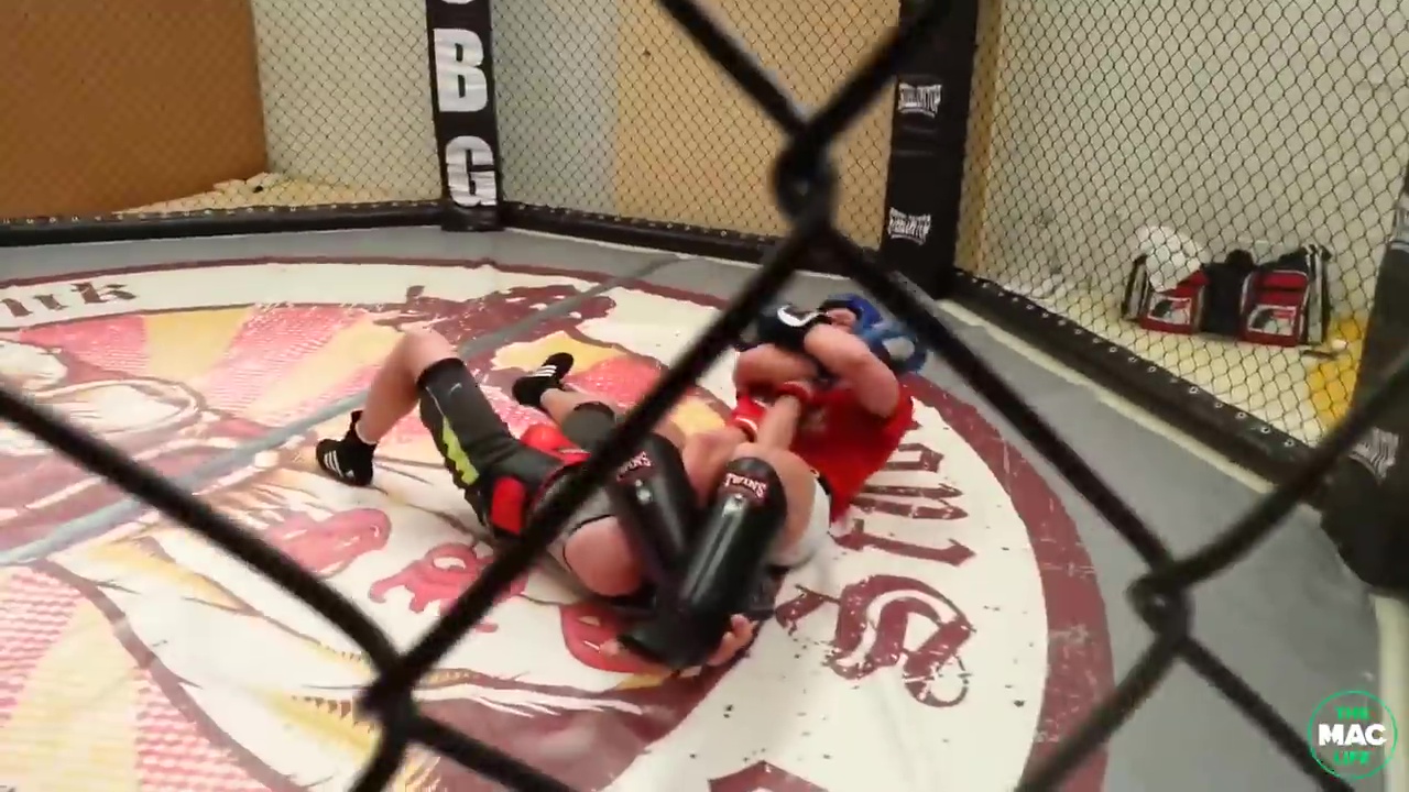 Conor McGregor, UFC legend, defeats Patrick Hyland in the Octagon.