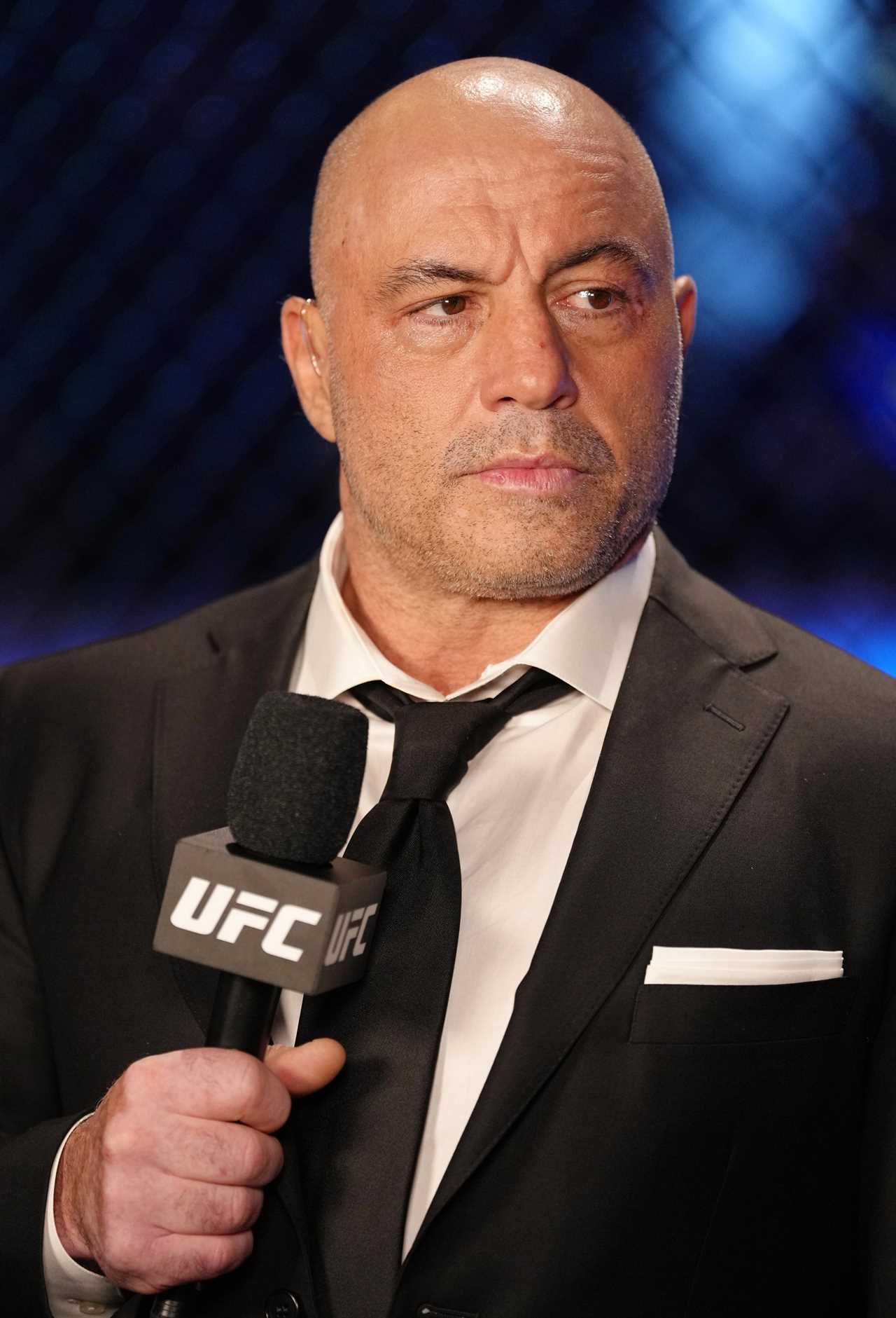 Joe Rogan says homeless people should be killed and faces huge backlash online