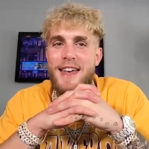 Jake Paul explains Conor McGregor's sick taunts to his pregnant fiancee, and urges him to win more UFC bouts to make $50m.
