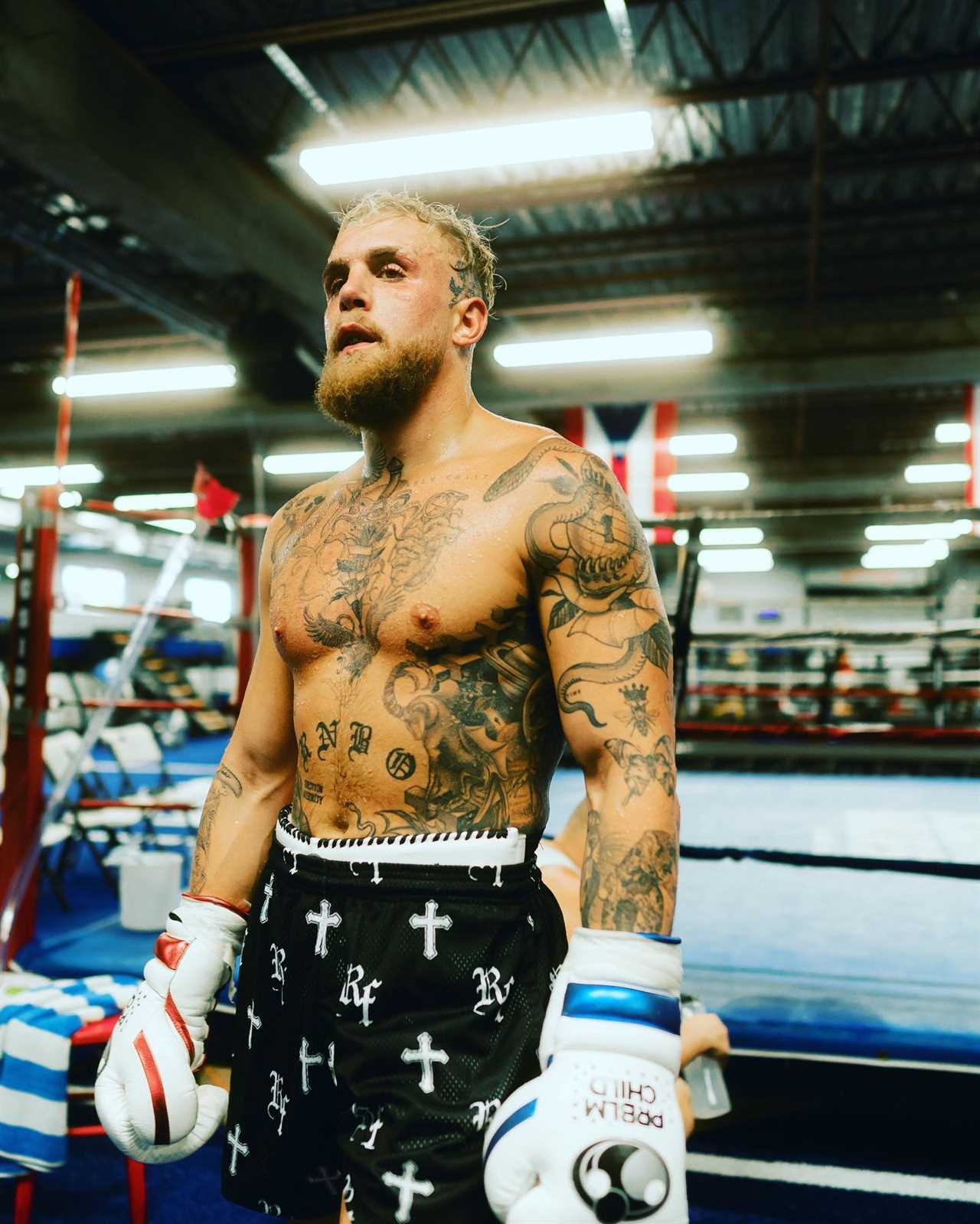UFC hardman Nate Diaz's blunt response when asked if Jake Paul would be his opponent in a boxing bout