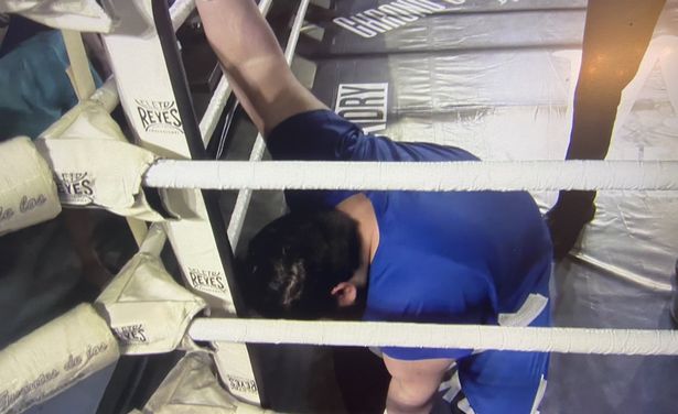 All boxing fans agree that the Iranian Hulk was KNOCKED OUT of Kazakh Titan, bitter rival boxing champion