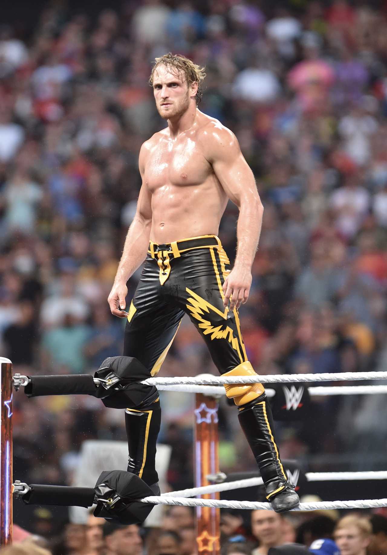 Logan Paul announces that he will be returning to boxing in December, after having starred in WWE