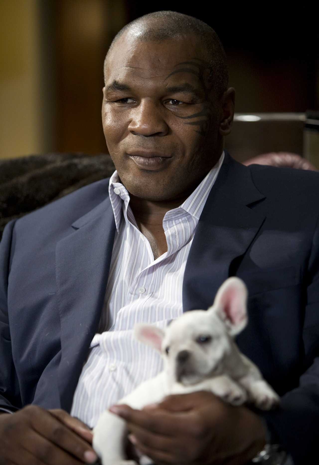 Mike Tyson's Las Vegas home, which was purchased for PS1.5 million, featured an infinity pool, two spas, and a waterfall.