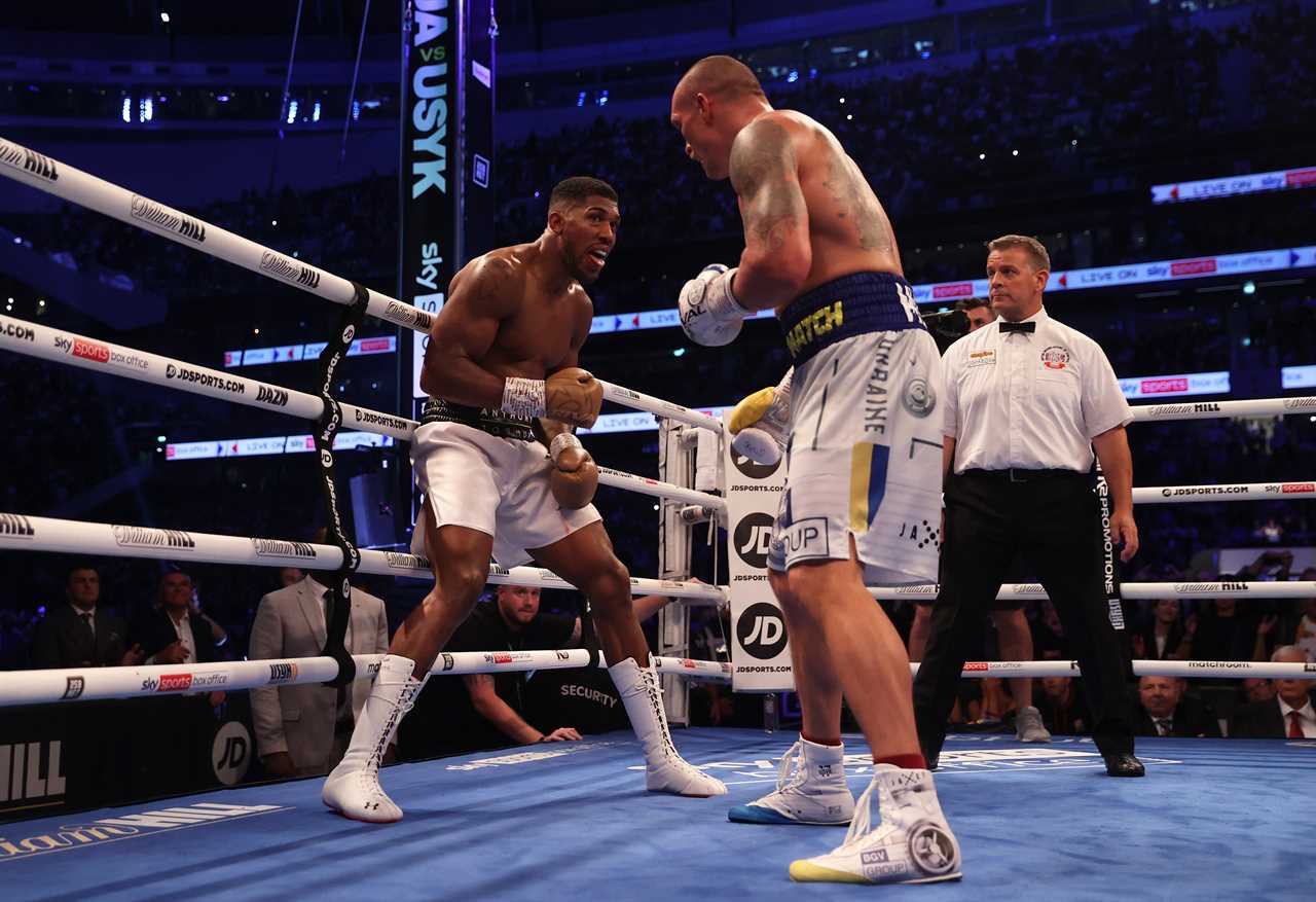 Oleksandr Usyk says all he needed was ‘another 30 seconds’ to knock down Anthony Joshua in warning ahead of rematch