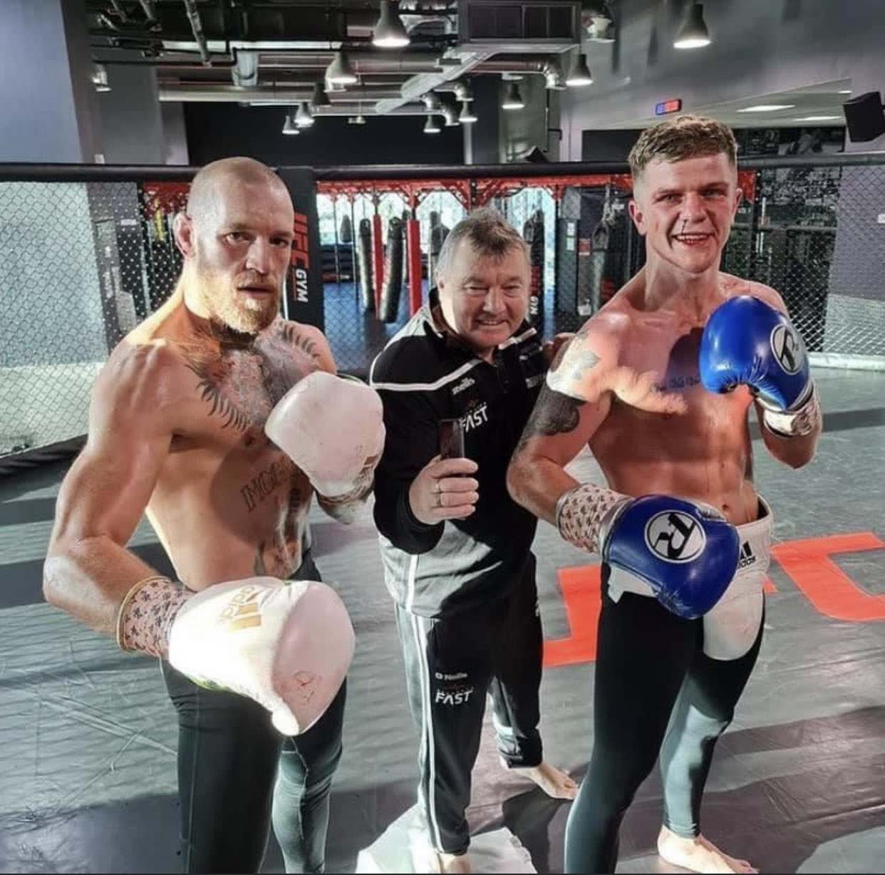 Jake Paul calls Dylan Moran, Conor McGregor's protegee after the Irish star claimed he would put Dylan and his brothers 'to bed'