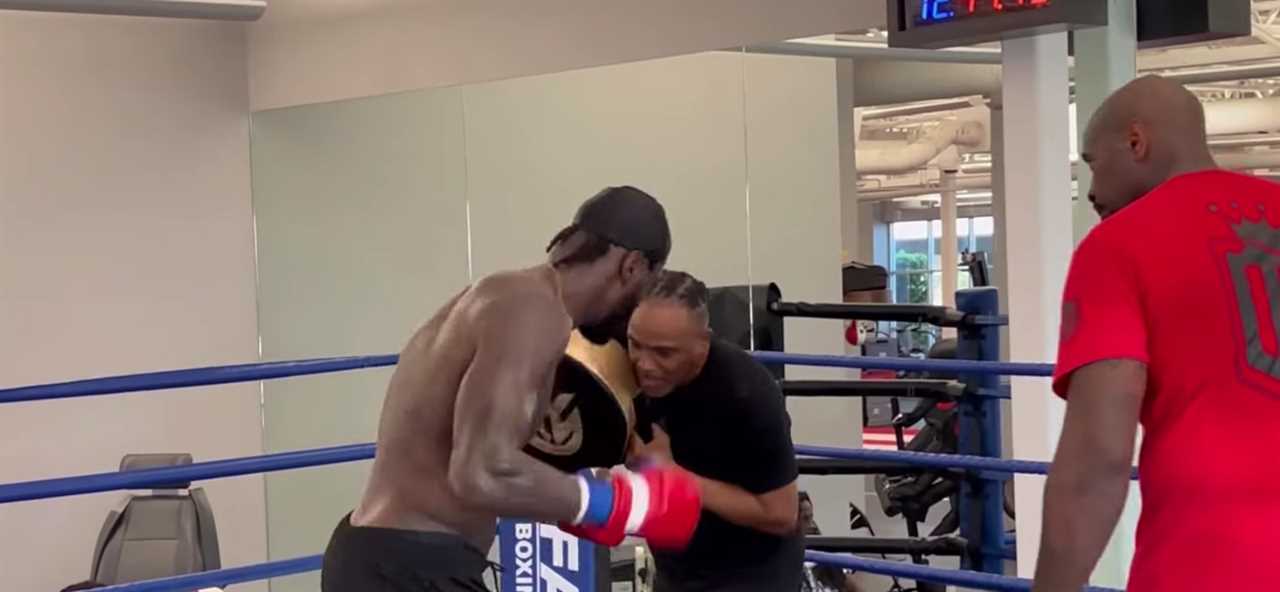 Deontay Wilder's trainer takes a punch flush on the chin from a fearsome boxer, but he stays on his feet during training