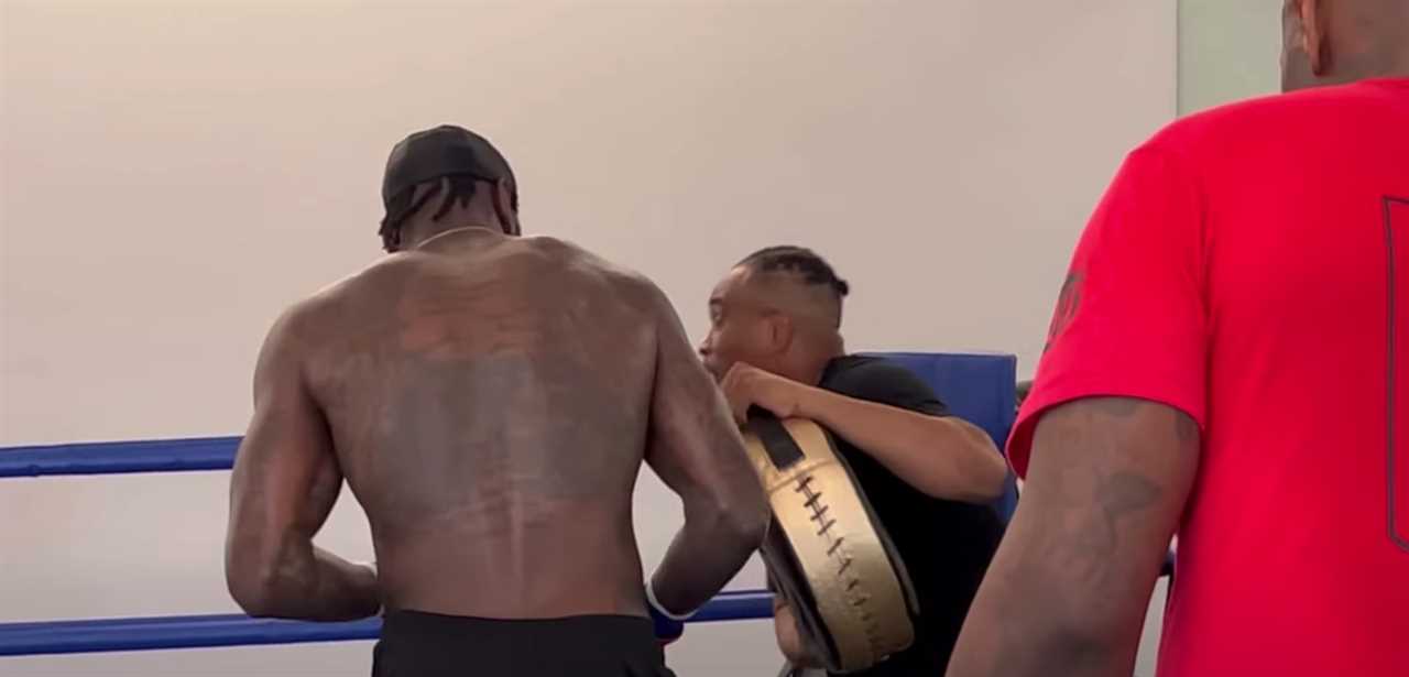 Deontay Wilder's trainer takes a punch flush on the chin from a fearsome boxer, but he stays on his feet during training