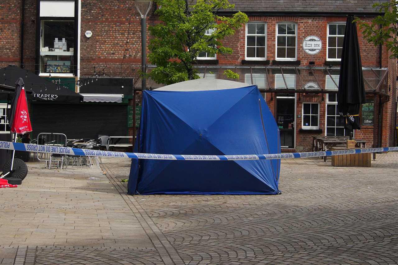After being stabbed outside a bar, Tyson Fury's cousin Rico Burton was killed. Man will stand trial
