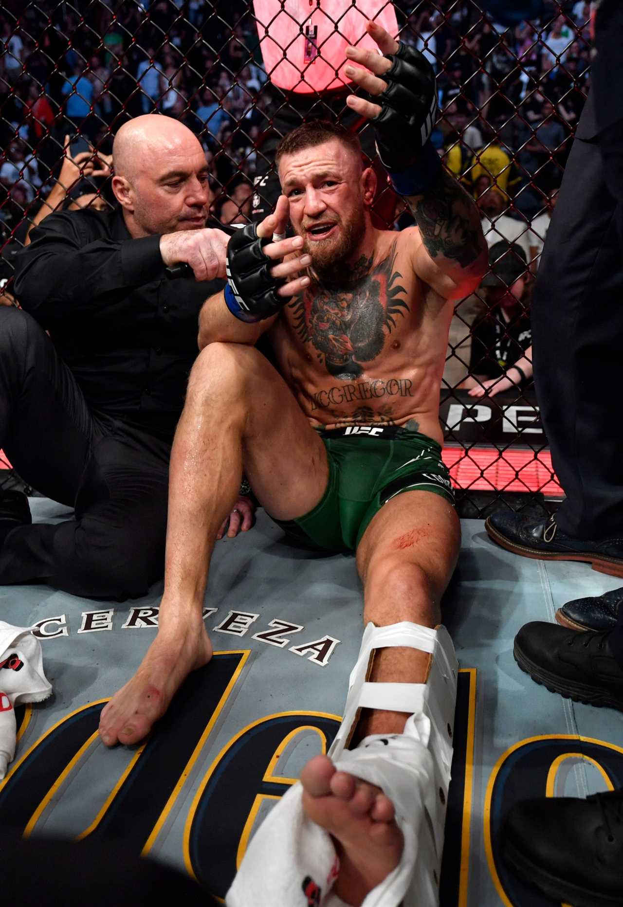 PICTURED CONOR McGREG demonstrates incredible body transformations in the gym as UFC star Conor McGregor prepares for Hollywood breakthrough