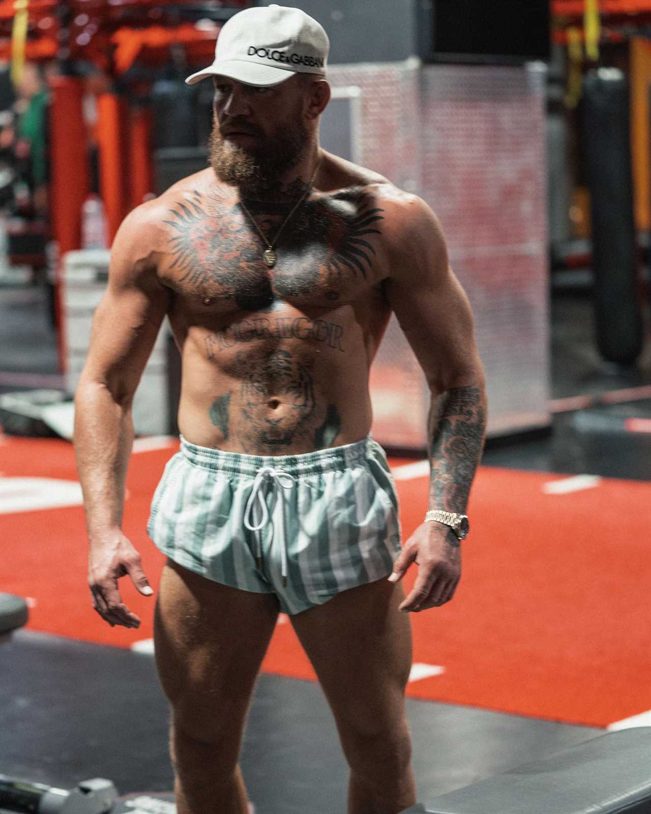 PICTURED CONOR McGREG demonstrates incredible body transformations in the gym as UFC star Conor McGregor prepares for Hollywood breakthrough