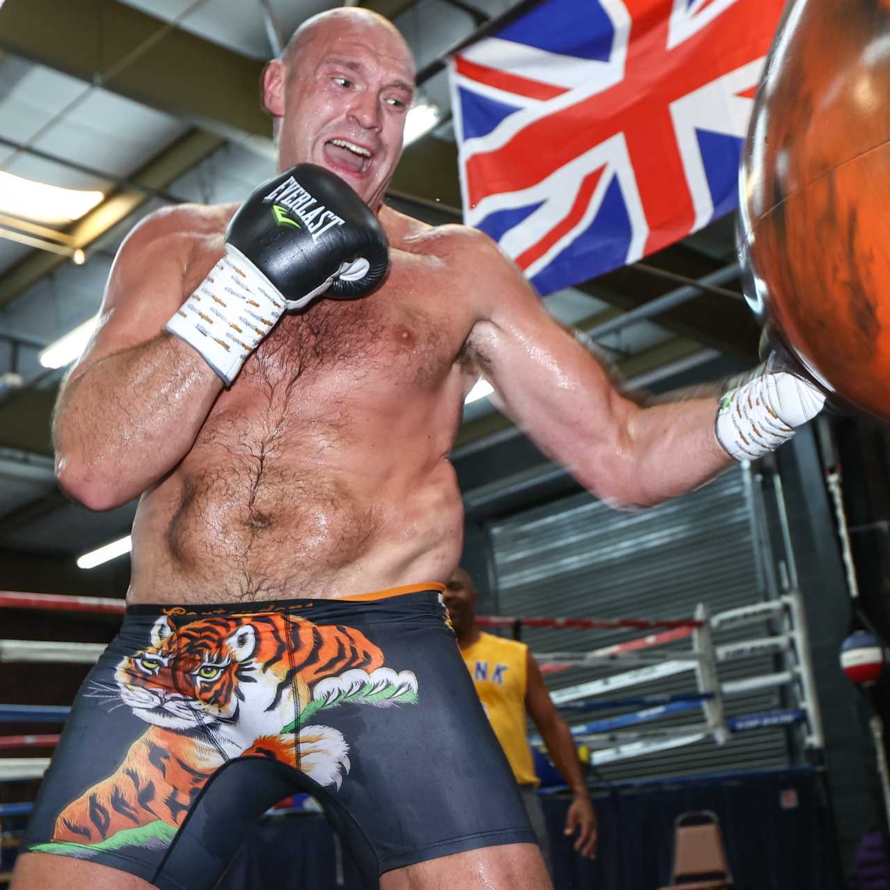 Tyson Fury has been training 'like an possessed man' since Anthony Joshua's defeat, as he prepares to face Oleksandr Usyk