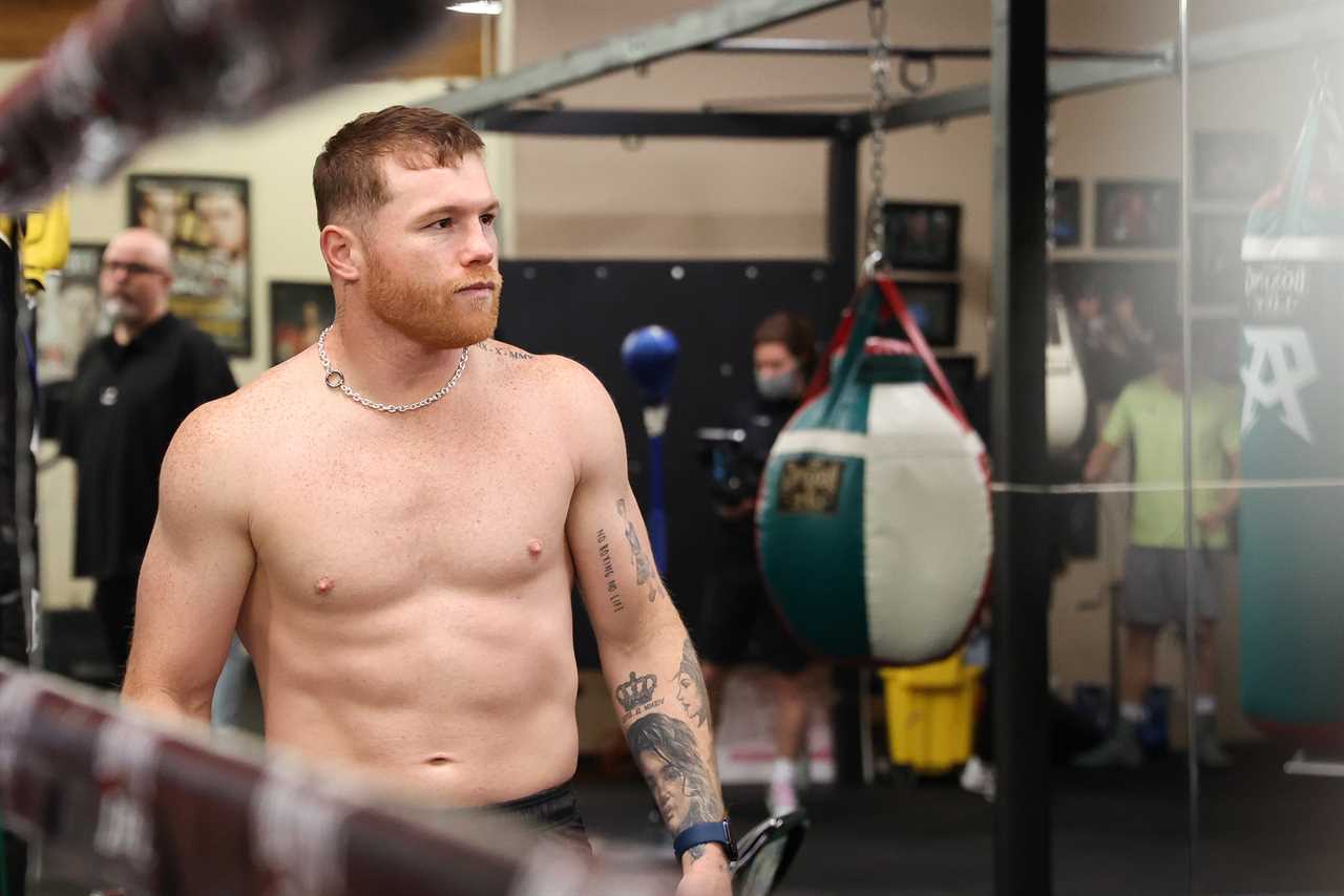Canelo Alvarez was urged to fight Anthony Joshua, despite FIVE STONE differences after Oleksandr Usyk called out Mexican