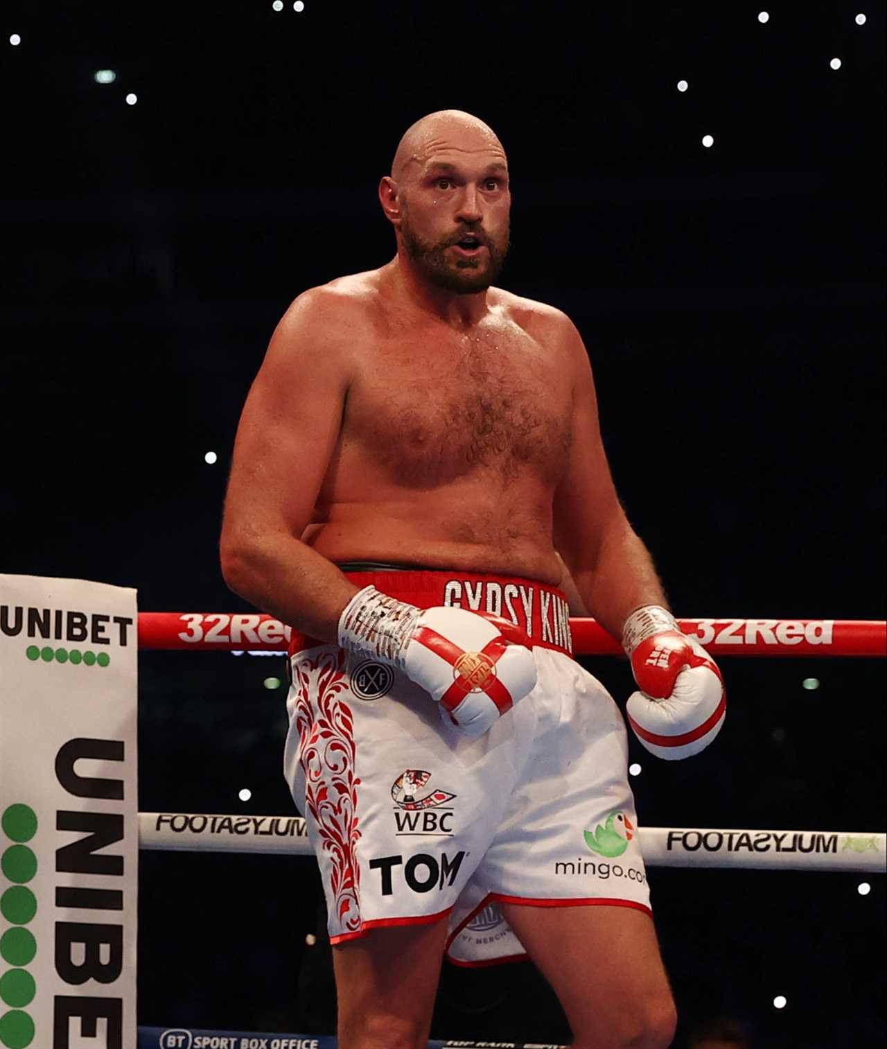 Tyson Fury is now open to full-time WWE switching after his retirement, but he still has lots of fights in boxing.