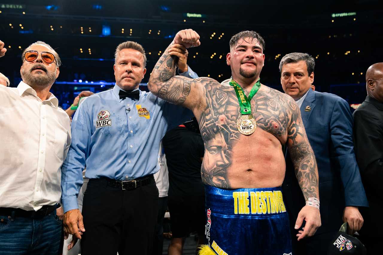 Andy Ruiz Jr. won five fights, including an all-US match with Deontay wilder and the Anthony Joshua trilogy.