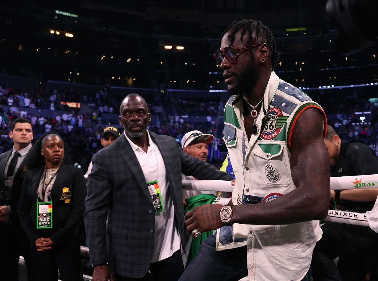 Andy Ruiz Jr. won five fights, including an all-US match with Deontay wilder and the Anthony Joshua trilogy.
