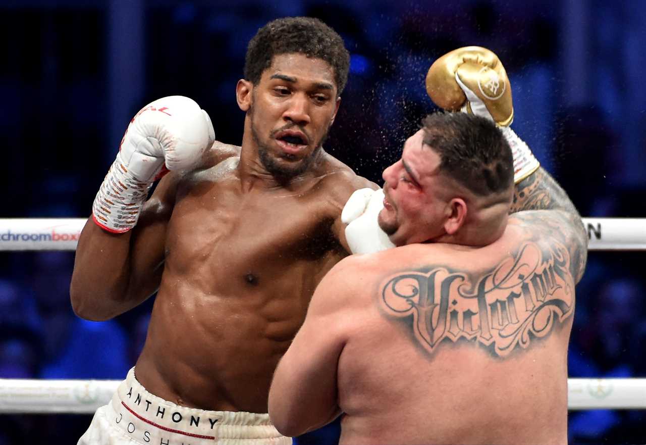 Andy Ruiz Jr. won five fights, including an all-US match with Deontay wilder and the Anthony Joshua trilogy.
