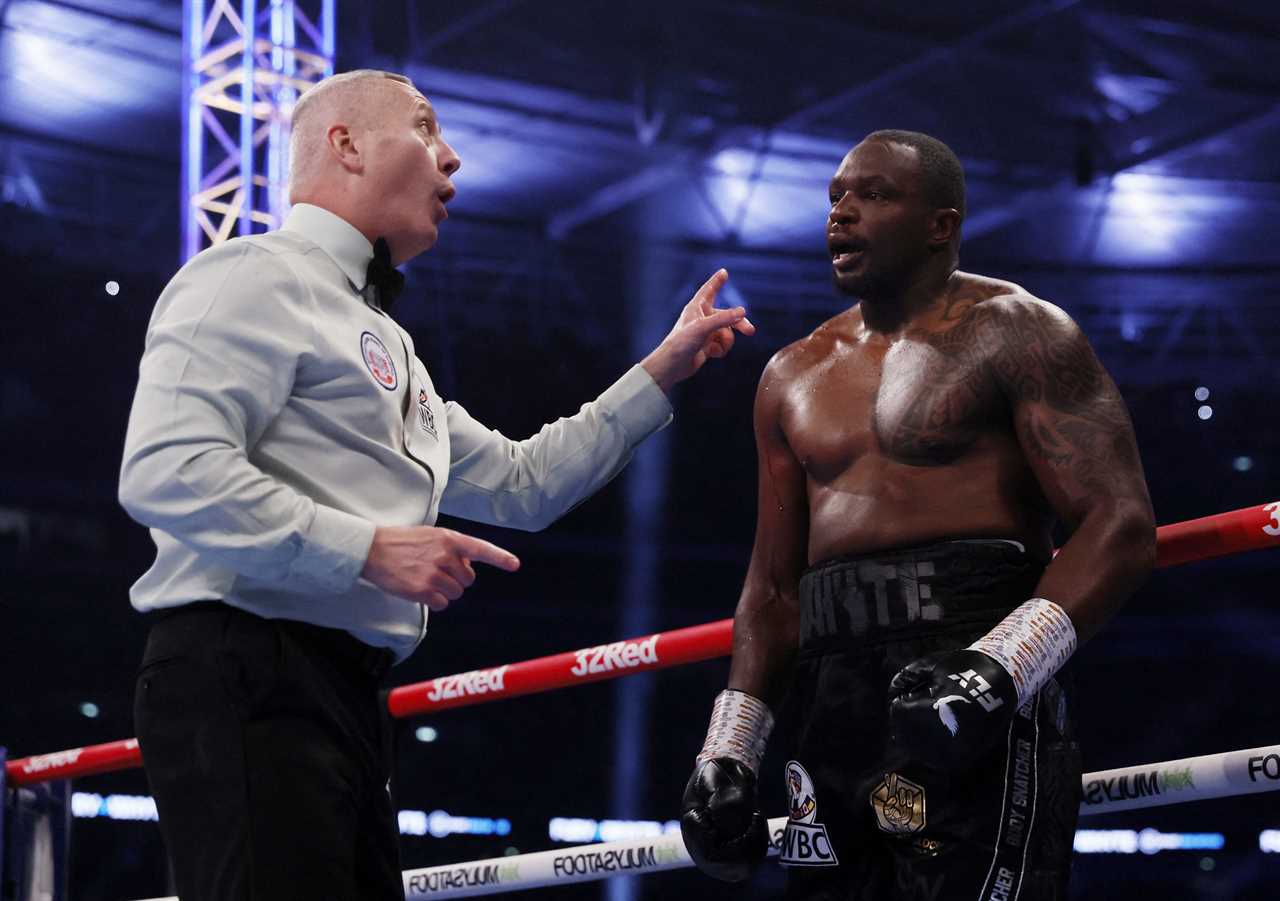 Andy Ruiz Jr. won five fights, including an all-US match with Deontay wilder and the Anthony Joshua trilogy.