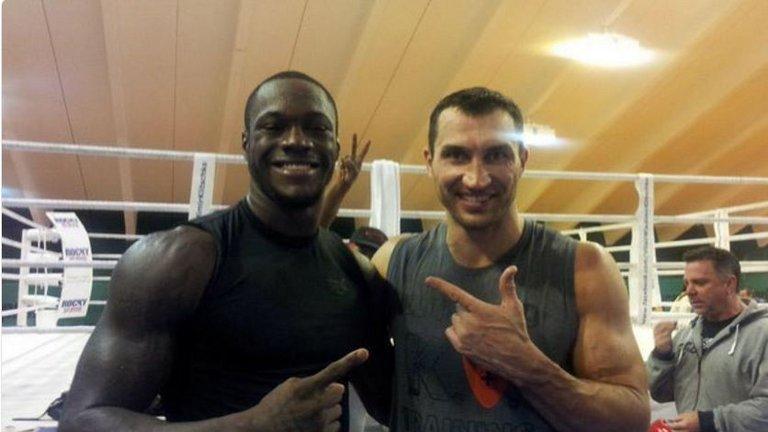 Dillian Whyte claimed that he saw Deontay wilder 'twitching' cold on the floor by Wladimir Klitschko during sparring