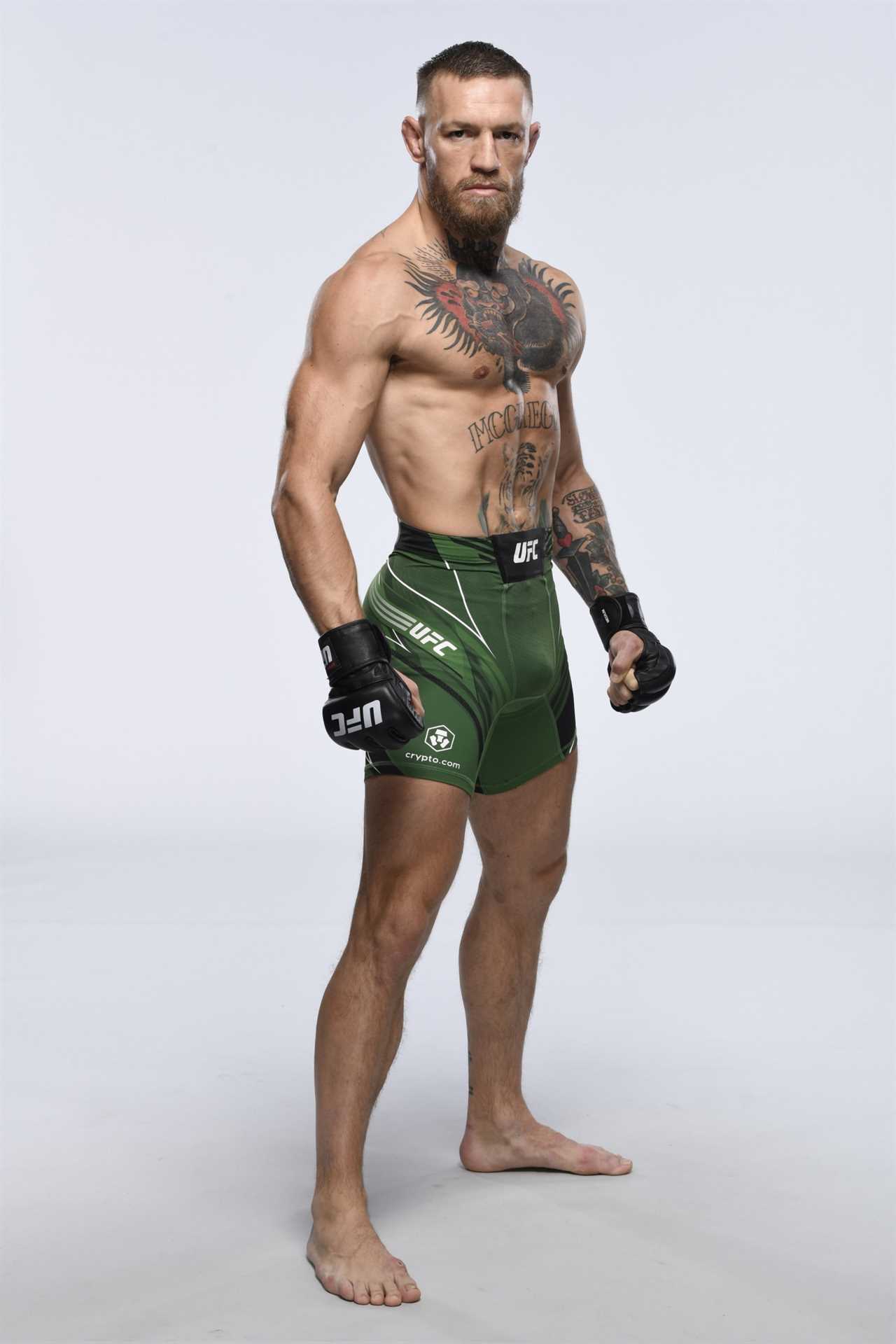 Conor McGregor directed to remove Japanese knotweed from the site because it poses a threat to flats that are built-to-rent.