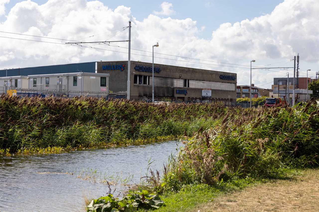 Conor McGregor directed to remove Japanese knotweed from the site because it poses a threat to flats that are built-to-rent.