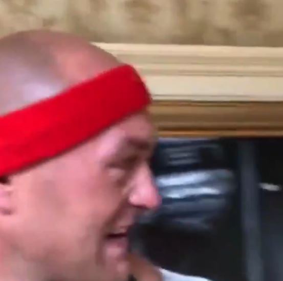 Tyson Fury displays a huge belt collection, but HIDES IBF title after being stripped by Anthony Joshua