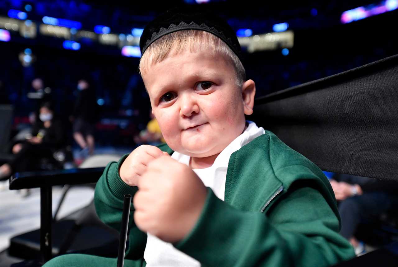 UFC star Conor McGregor calls Hasbulla to sparring match, as he continues his feud with the social media icon