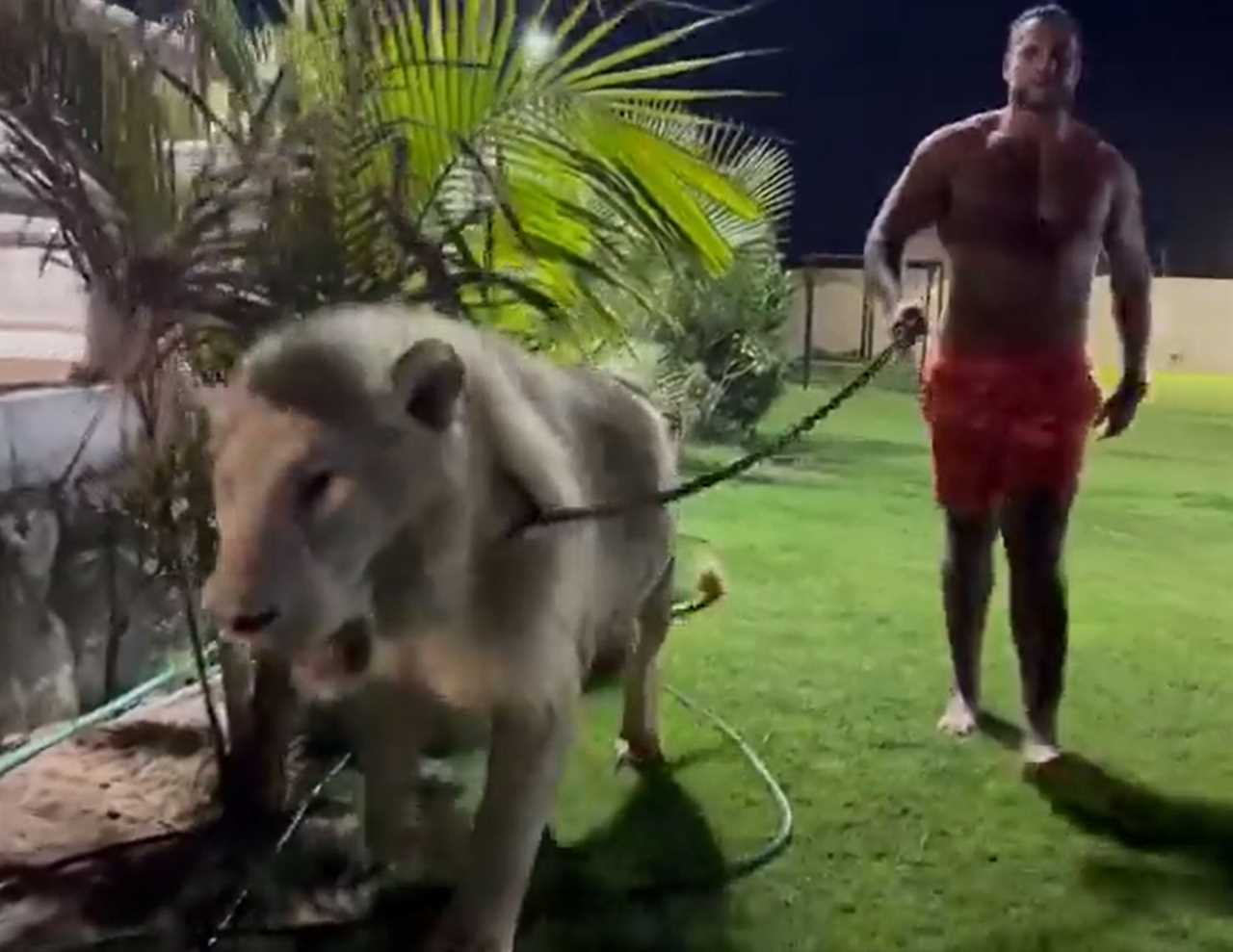 I'm ready for punch your face in...sign the paper - MahmoudCharr goes topless with LION and calls out Tyson Fury