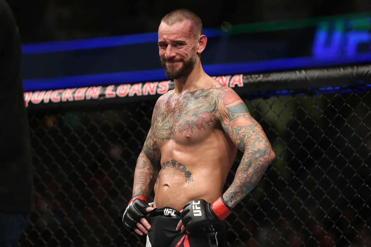 After learning lessons from CM Punk, UFC president Dana White won't sign Logan or Jake Paul.