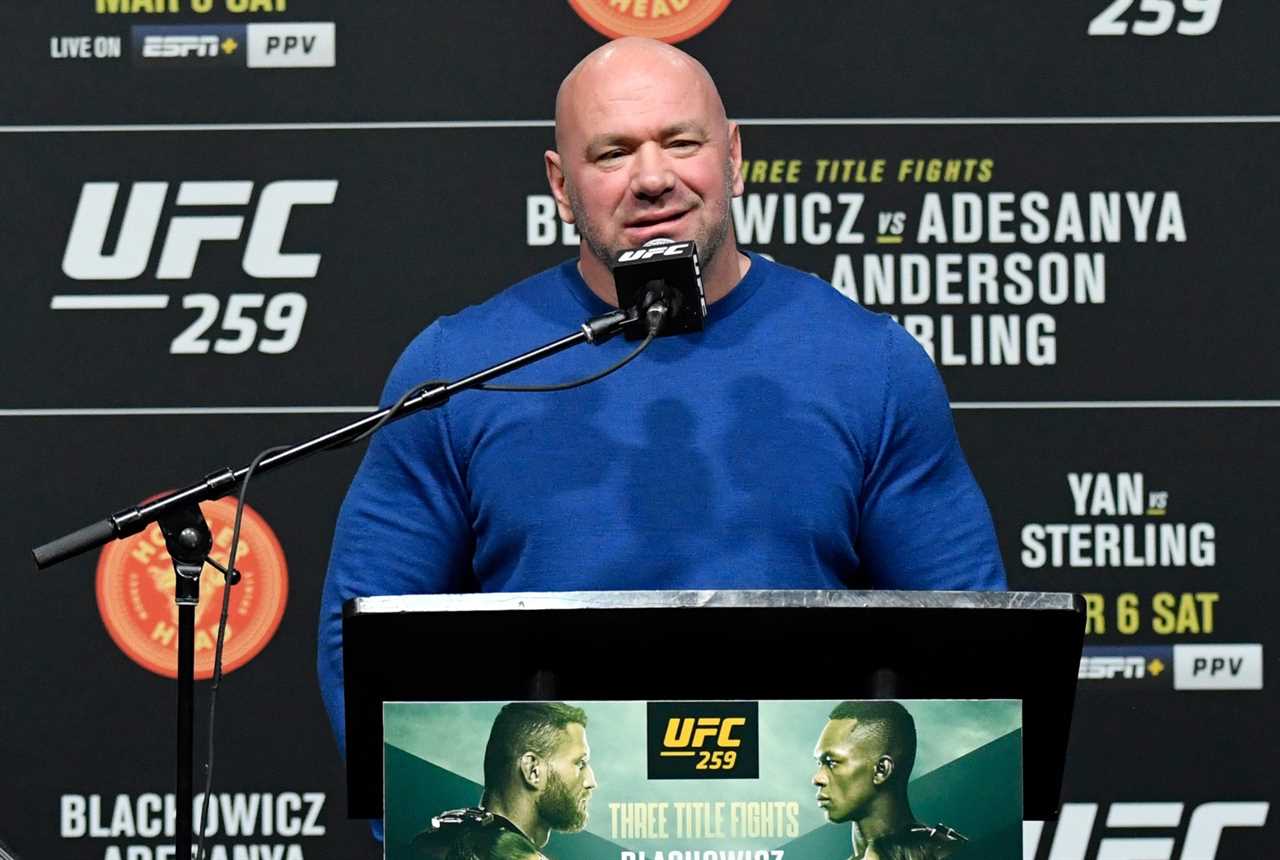 After learning lessons from CM Punk, UFC president Dana White won't sign Logan or Jake Paul.