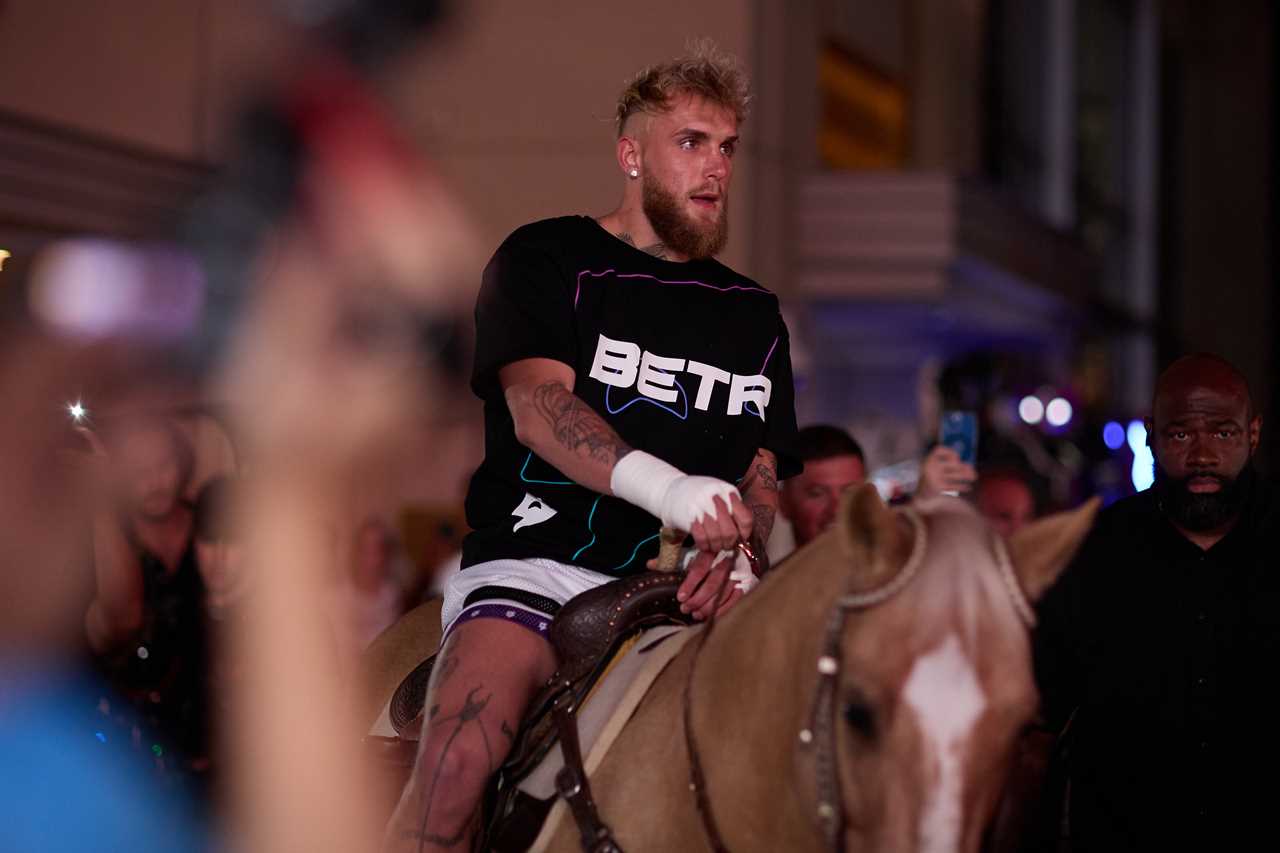 Jake Paul fears his performance against UFC legend Anderson Silva will scare off Conor McGregor from future fight