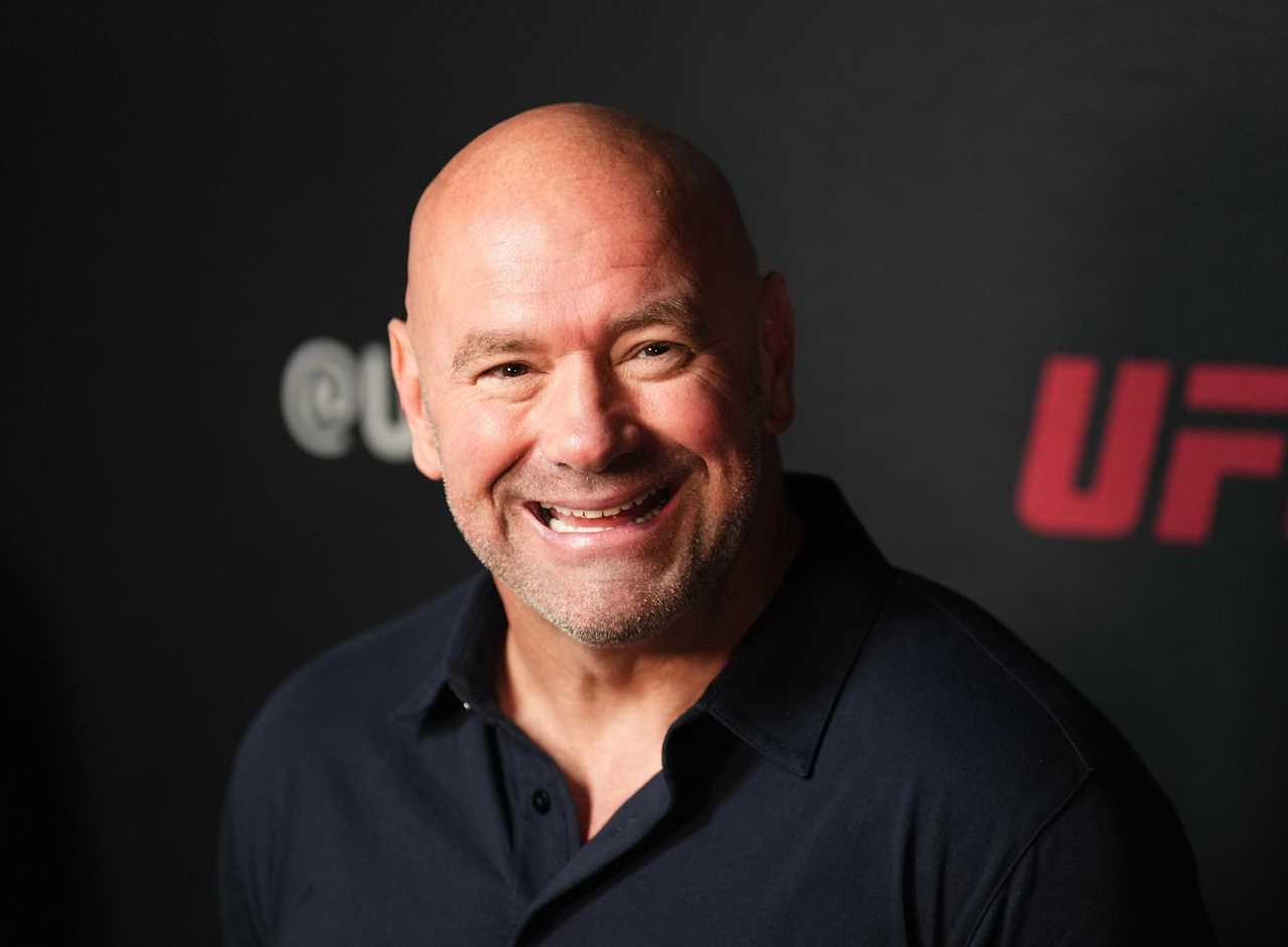 Jake Paul says Dana White is the reason he is facing Anderson Silva after UFC boss ‘guaranteed’ he would’t accept fight