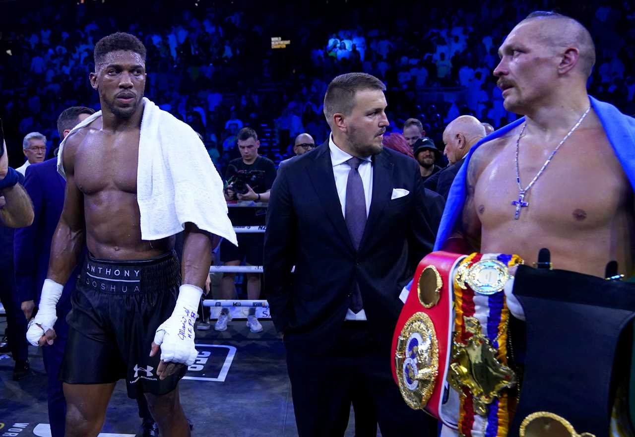 Otto Wallin, Tyson Fury's exponent, calls Anthony Joshua his return opponent and not Dillian Whyte
