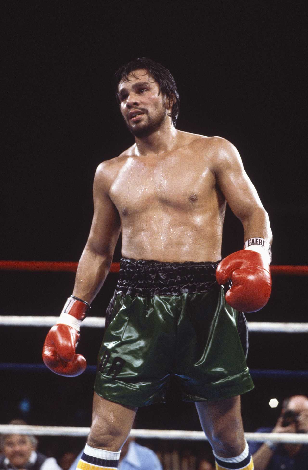 The top ten boxers with the longest winning streaks include Julio Cesar Chavez and Roberto Duran, as well as Floyd Mayweather Jr.