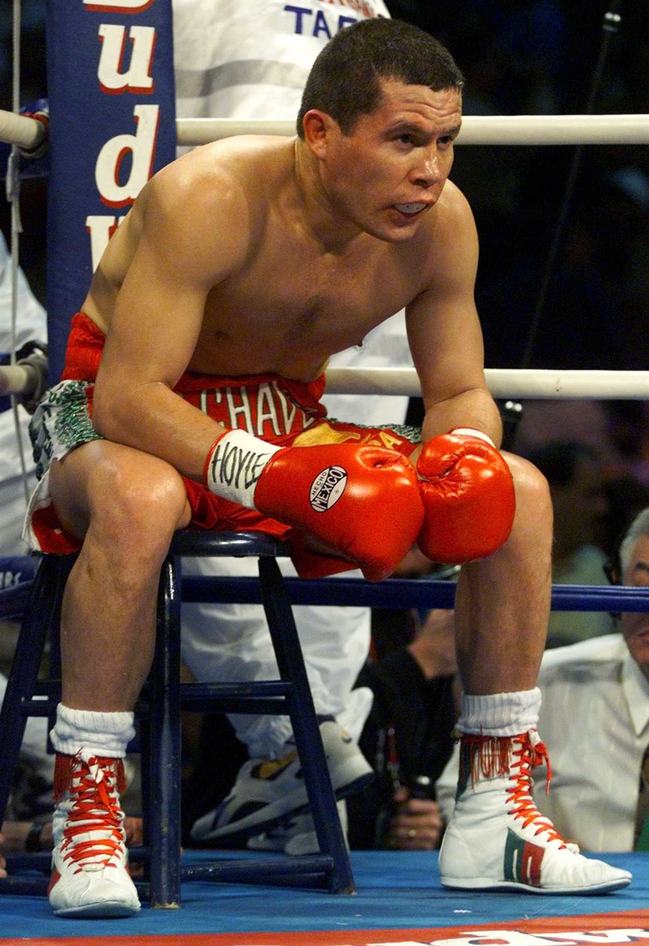 The top ten boxers with the longest winning streaks include Julio Cesar Chavez and Roberto Duran, as well as Floyd Mayweather Jr.