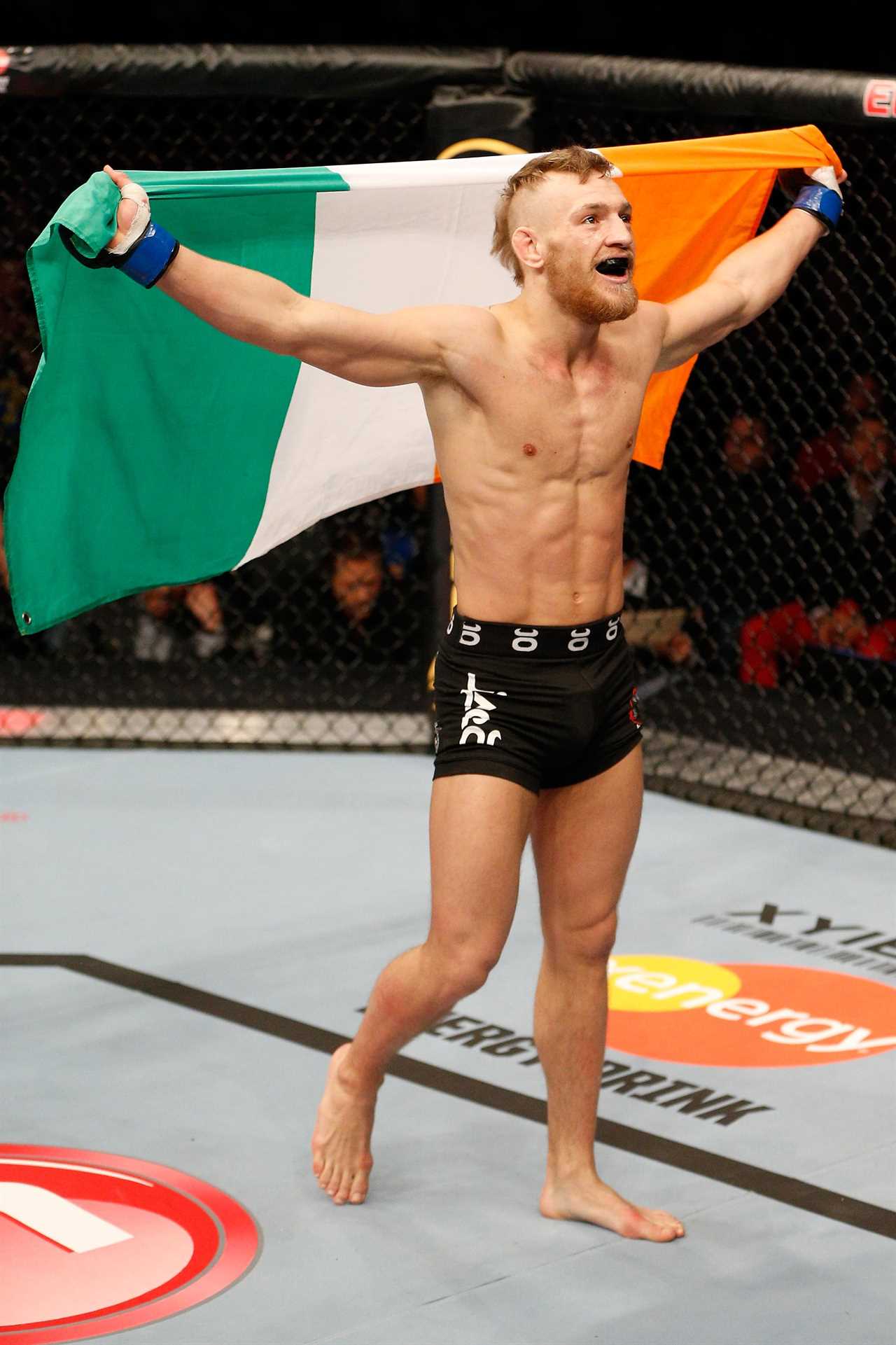 Conor McGregor, UFC fighter, has a collection of tattoos that he describes as well as how many he has.