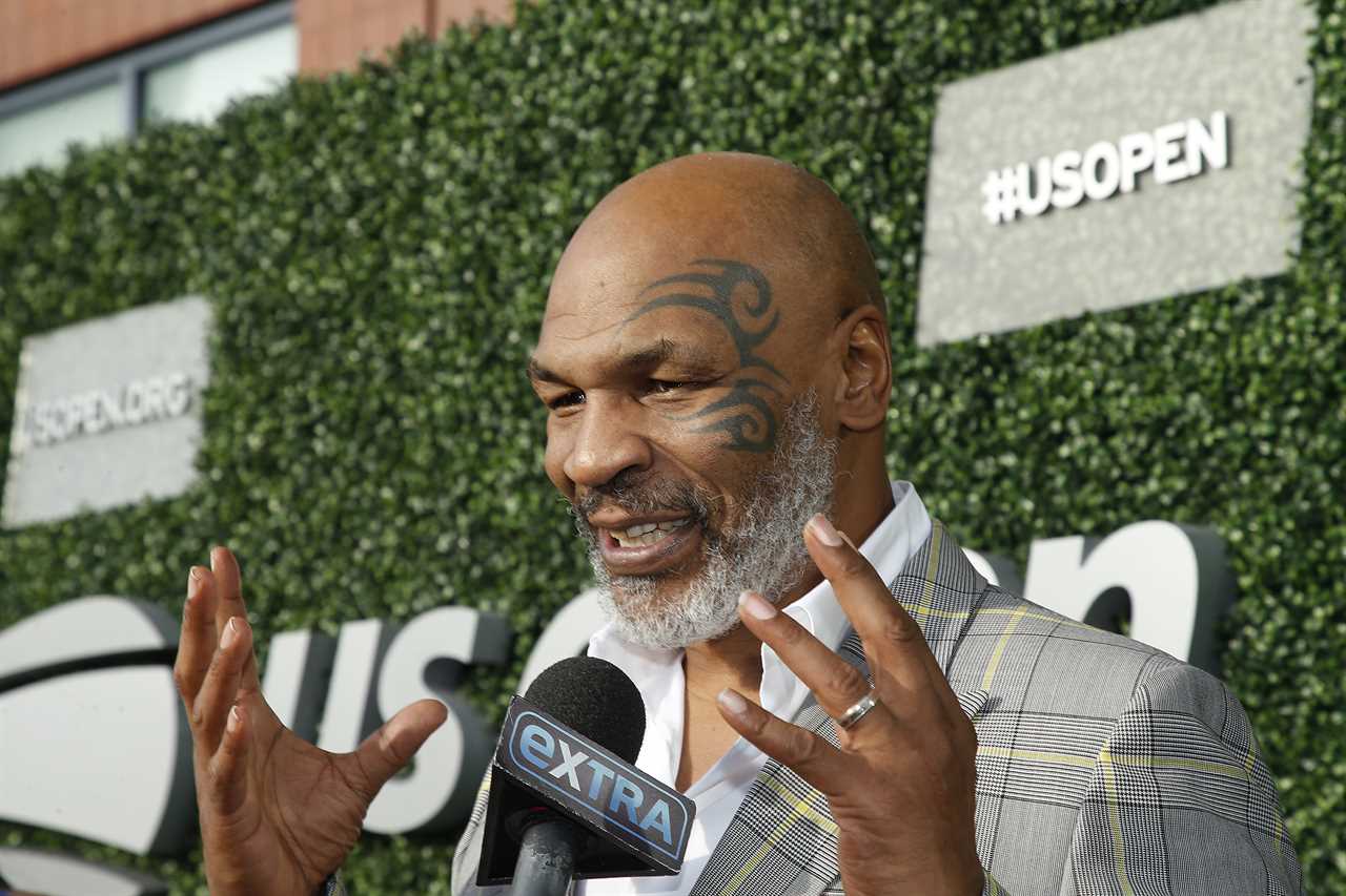Mike Tyson says mountain lion was his favorite pet, but he was left with six or seven stitches after being bit.