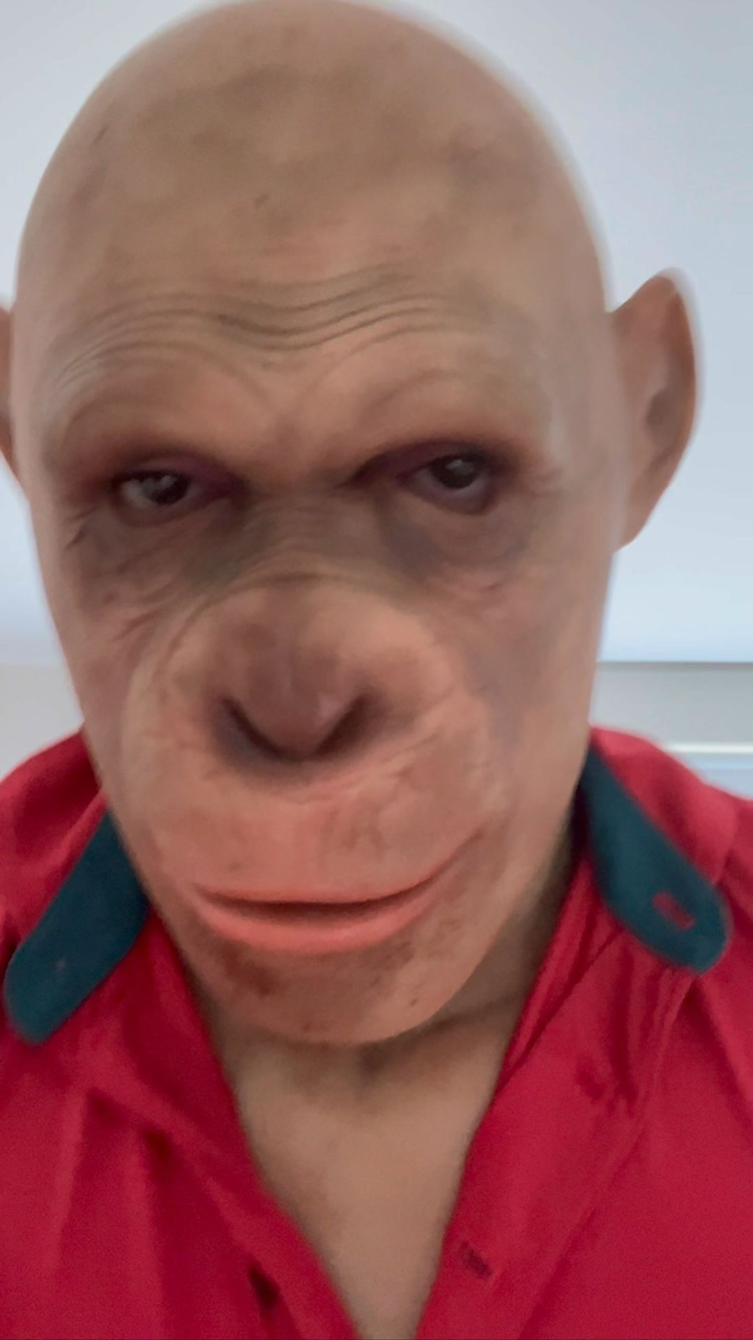 Fans baffled by Conor McGregor's video with the MONKEY filter. UFC star is preparing for a comeback.