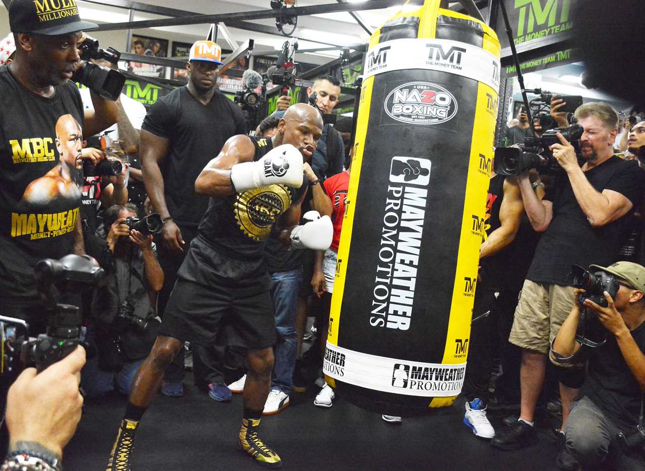 Floyd Mayweather did only 'push-ups, sit-ups, and pull-ups' during training before beating Conor McGregor in the UFC.