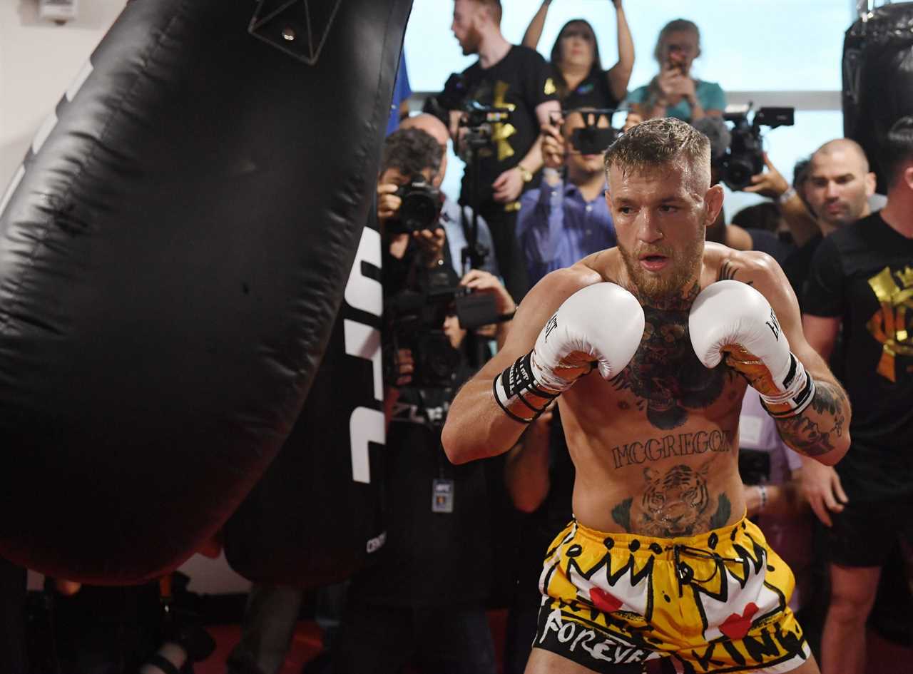 Floyd Mayweather did only 'push-ups, sit-ups, and pull-ups' during training before beating Conor McGregor in the UFC.