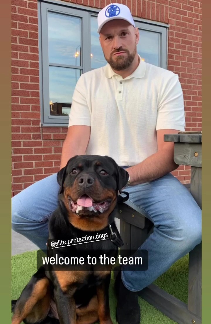 Tyson Fury jokes that 'being at home six children and a dog would drive any men out of retirement' before the Chisora fight