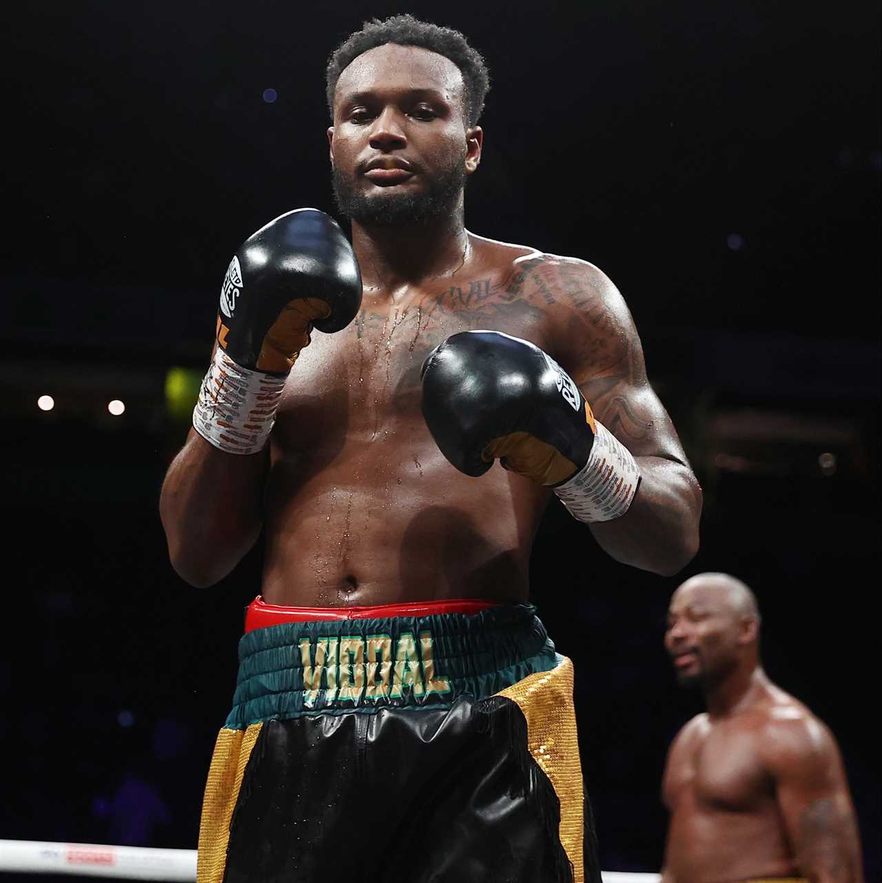 Viddal Riley has a plan to become world champion at 28... and he does it while not allowing celeb super-fights.